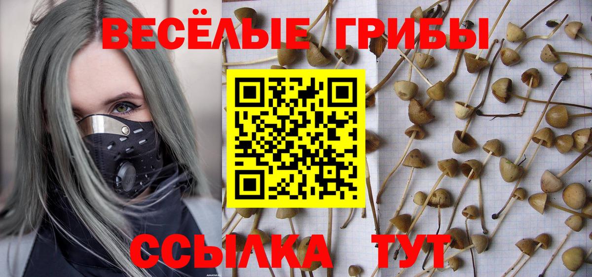 Великий Устюг  Галлюциногенные грибы Psilocybe  Вход с VPN 
