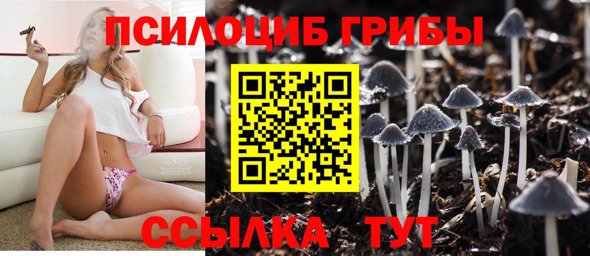 Псилоцибиновые грибы GOLDEN TEACHER Великий Устюг