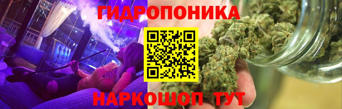 МАРИХУАНА индика  Каннабис планчик  Великий Устюг  Бошки Шишки OG Kush  Вход с VPN  Канабис семена 